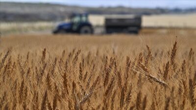 Tarım ve Orman Bakanı İbrahim Yumaklı, tarımsal hasılada rekor kırıldığını