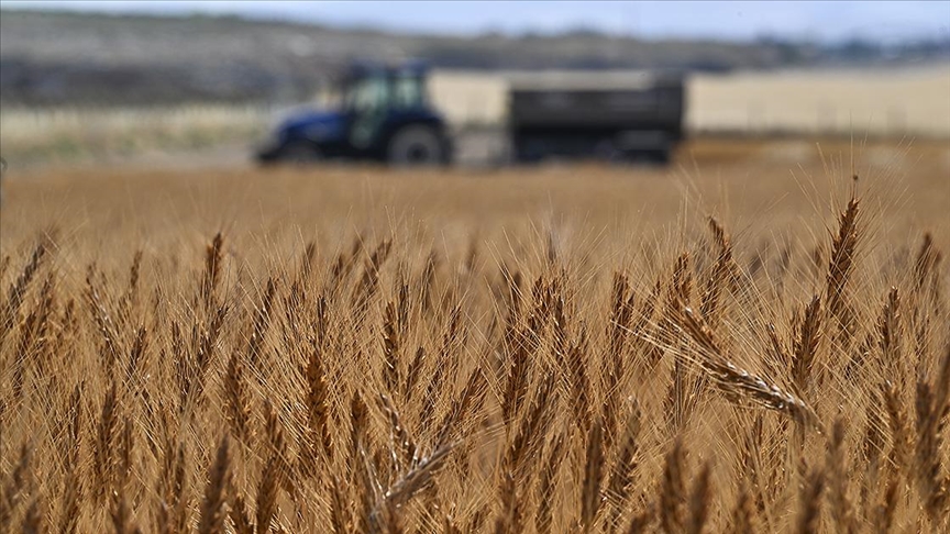 Tarım ve Orman Bakanı İbrahim Yumaklı, tarımsal hasılada rekor kırıldığını