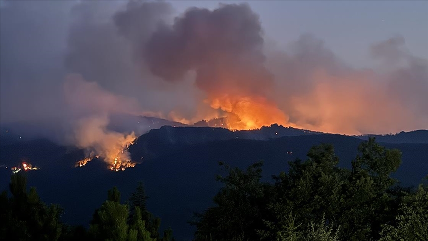 Tarım ve Orman Bakanı İbrahim Yumaklı, Eskişehir Seyitgazi'de orman yangınına