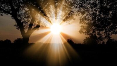 Tarım ve Orman Bakanlığına bağlı Orman Genel Müdürlüğü (OGM), iklim