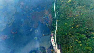 Düzce'deki Efteni Gölü Kuş Cenneti havzasında, sisler arasında kalan yeşil,
