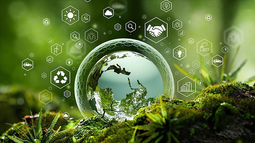 Projeyle Türkiye'deki ormanların yüzde 7'sine denk gelen 613 milyon ağacın